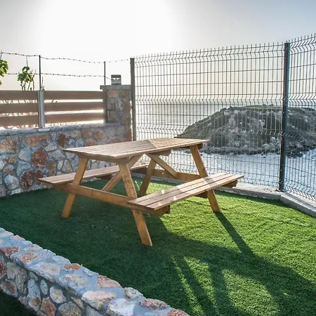 Golden Sunrise Stegna *